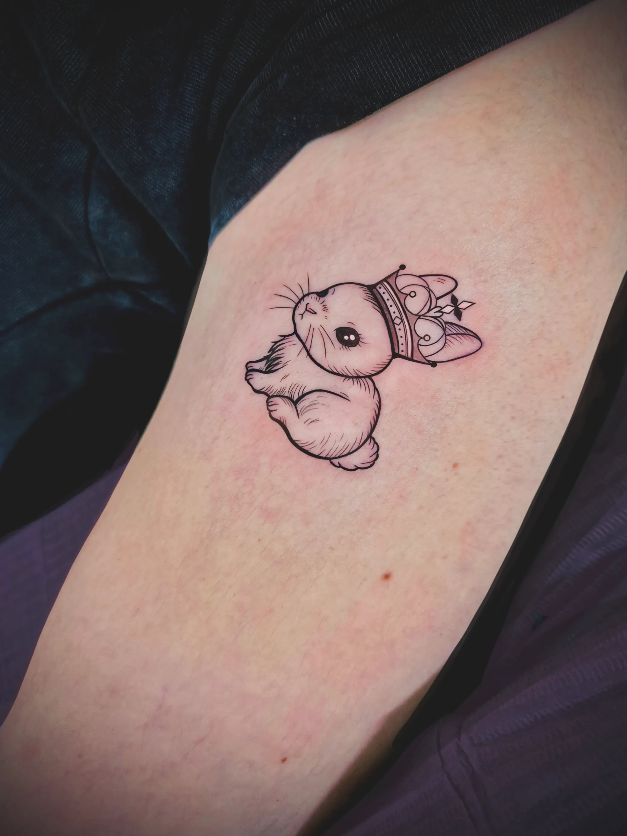 ํ ๋ผํํฌ . ์๊ดํํฌ