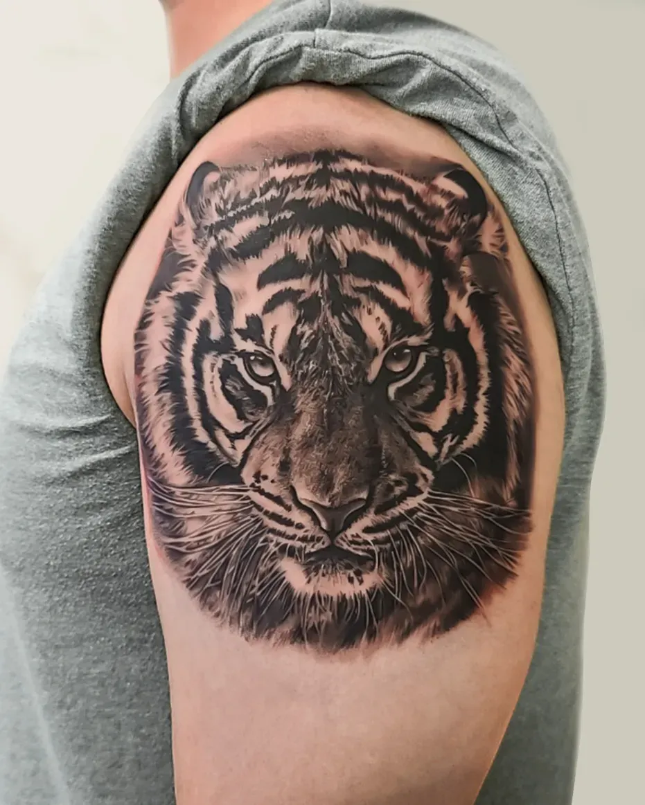 ํธ๋์ด๋ธ๋์ค๊ทธ๋ ์ด ์ด๊นจํํฌ - 1