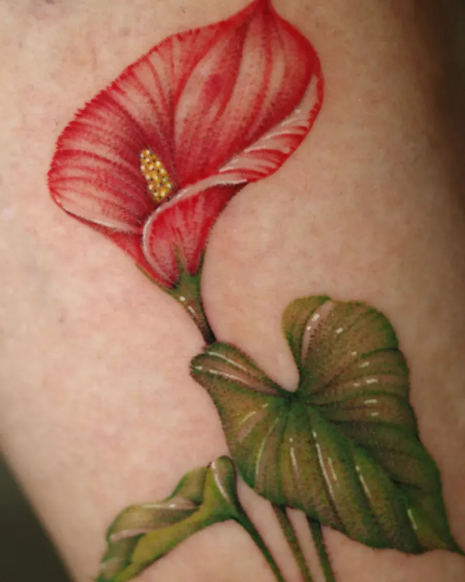 ๊ฝ ๊ฝ๋ง ๋ ํฐ๋ง ๋ฏธ๋ํํฌ