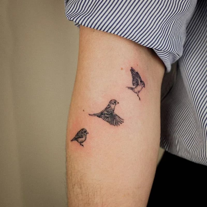 참새타투 남자팔타투 tattooist_petal - 1