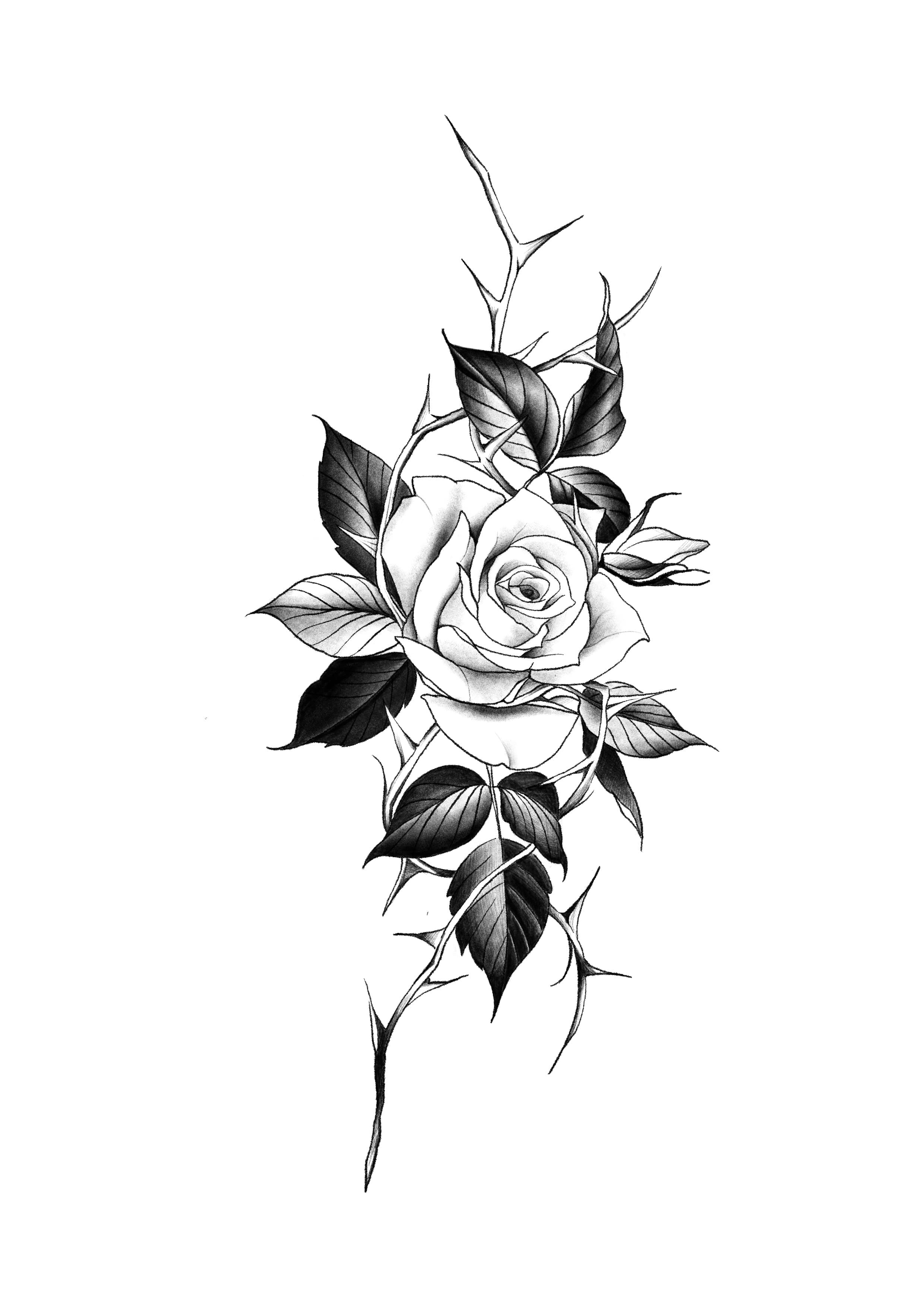 ํํฌ๋ชจ๋ธ ๊ตฌํฉ๋๋ค! ๊ฝํํฌ ์ฅ๋ฏธํํฌ 15๋ง์ - 1