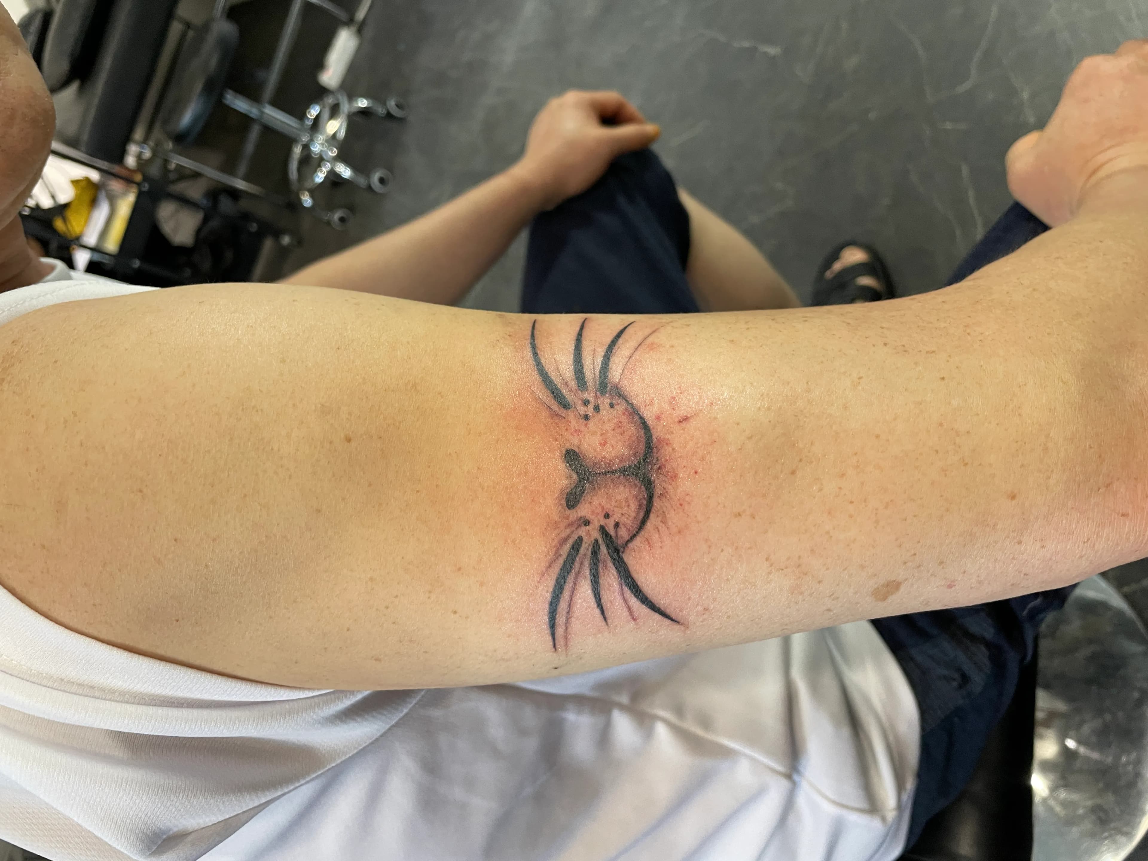 ๊ณ ์์ด ํํฌ ๊ท์ฌ์ด ํฌ์ธํธ๋ก ํ์ ์๊ธด ํ๊ธฐ(ft. ๋๋ด, ์ฅ์, ์๊ณ ํํฌ ์ ๋ช
ํ ๊ณณ)