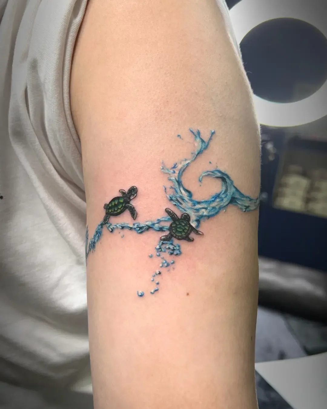 헤엄치는 거북이