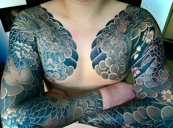 양가슴긴팔 이레즈미