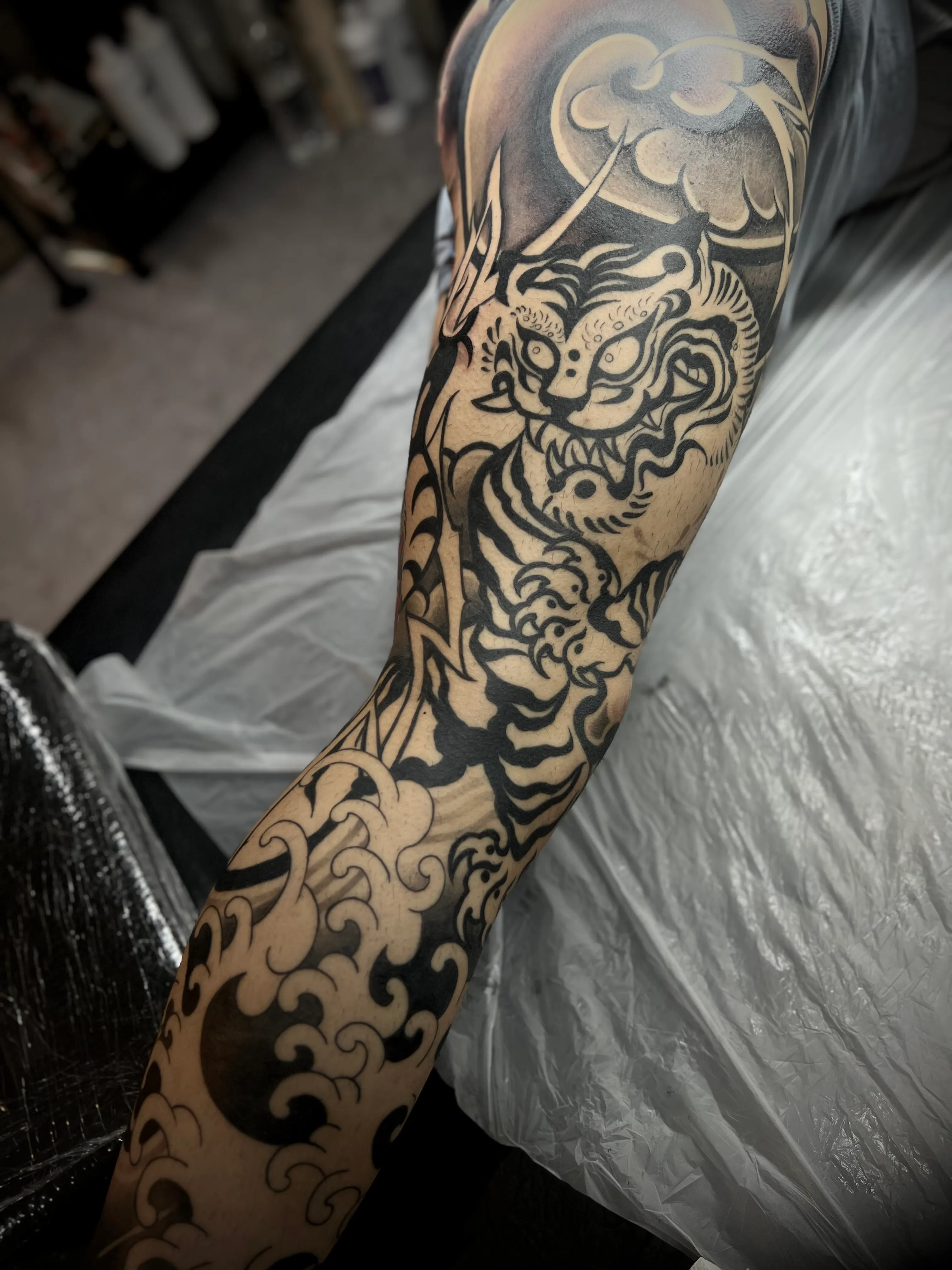 호랑이 긴다리 진행중