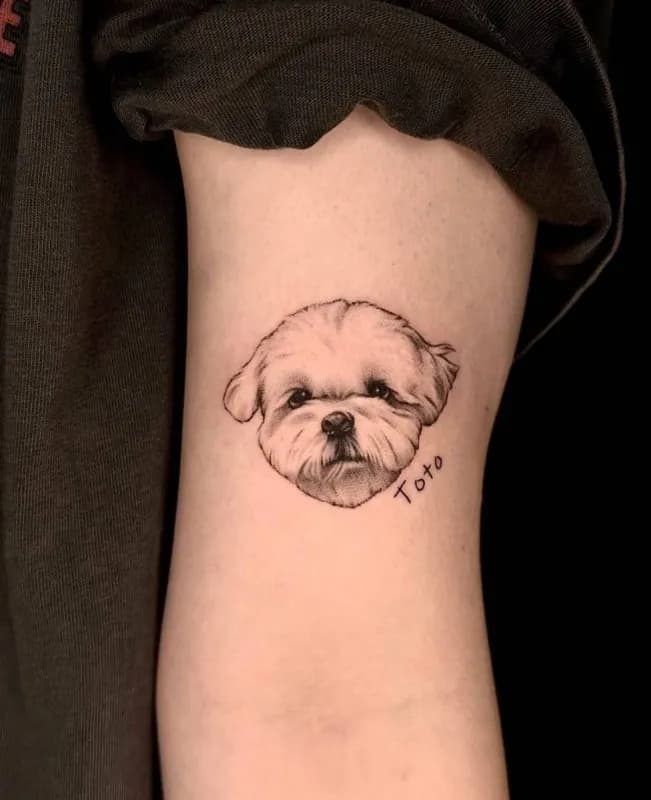 애견타투&레터링 - 1