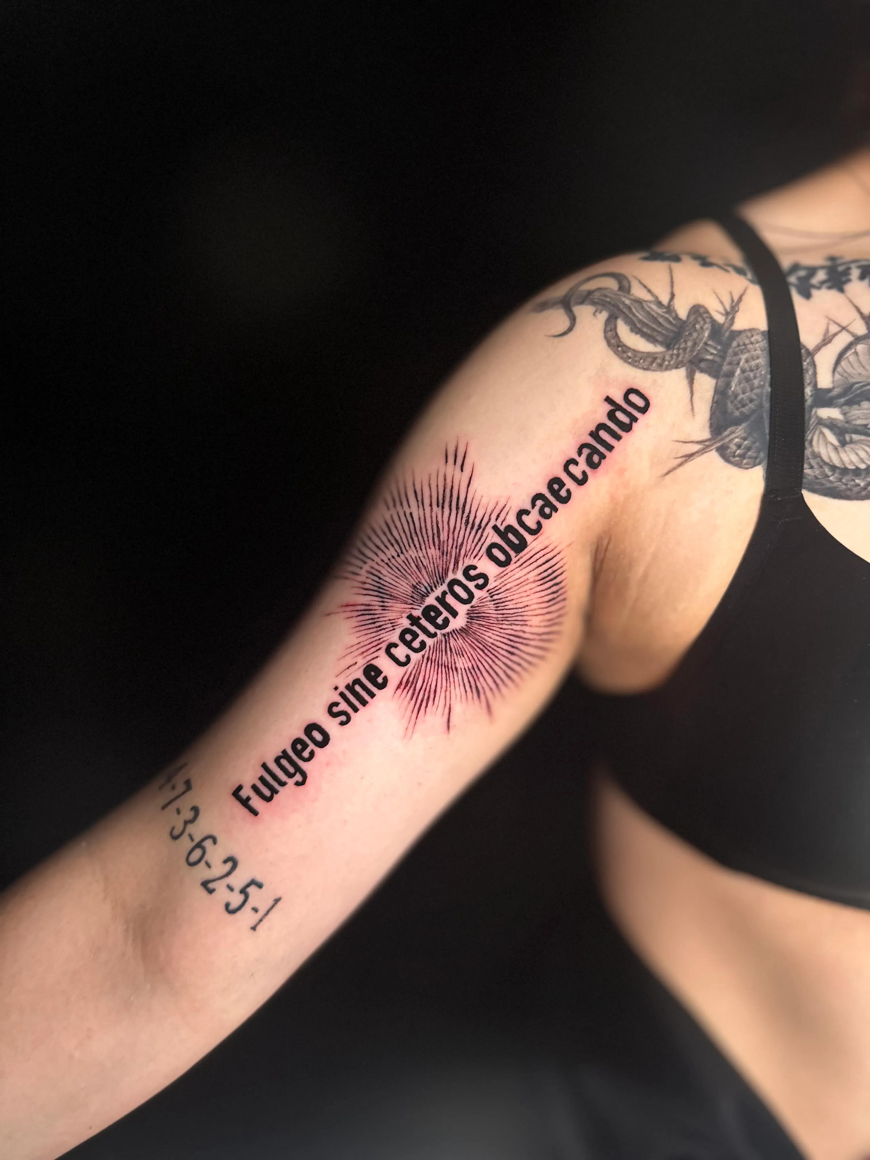 빛과 눈(실루엣) + 레터링 - 1