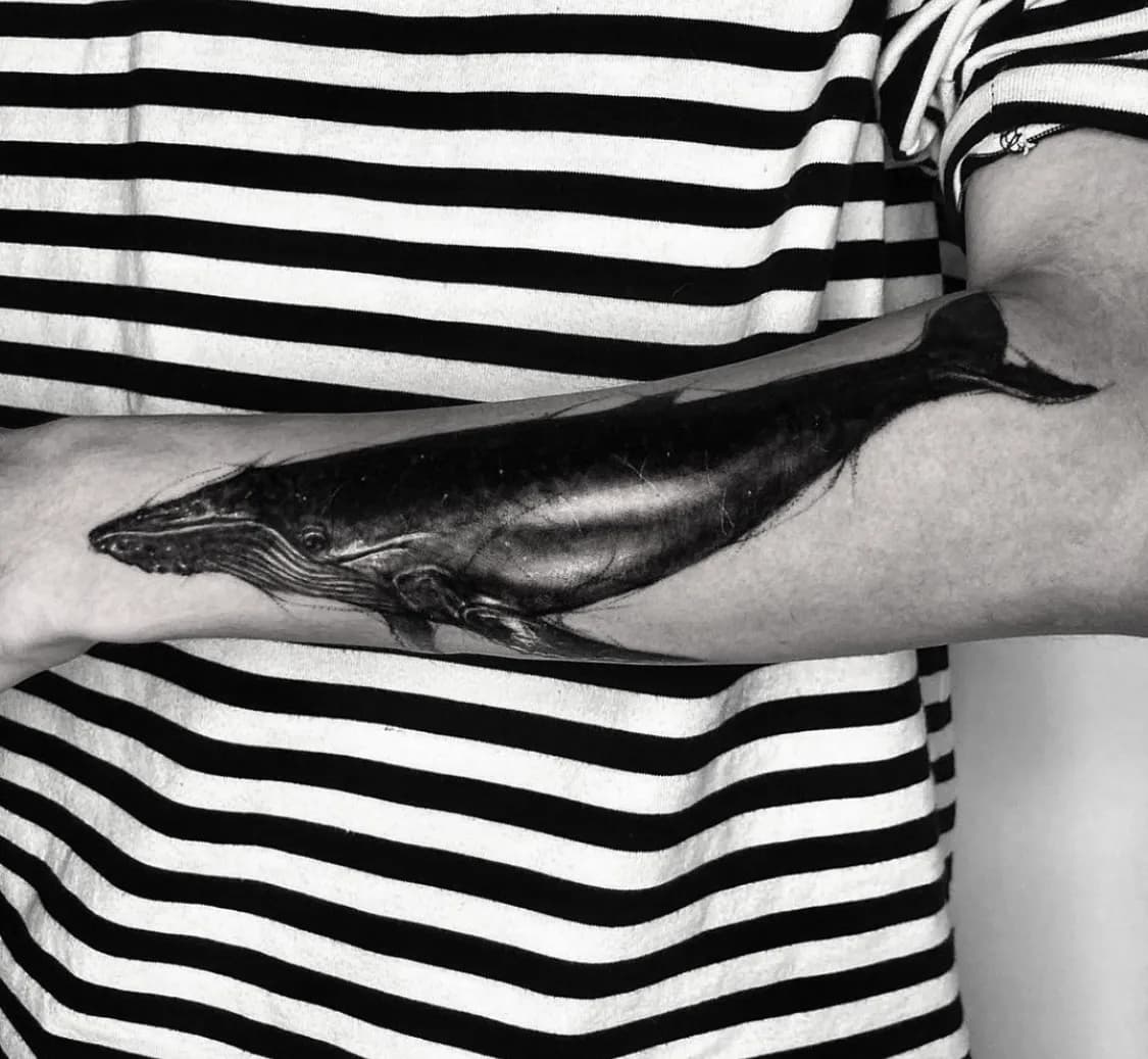 블랙앤그레이 고래 - 1