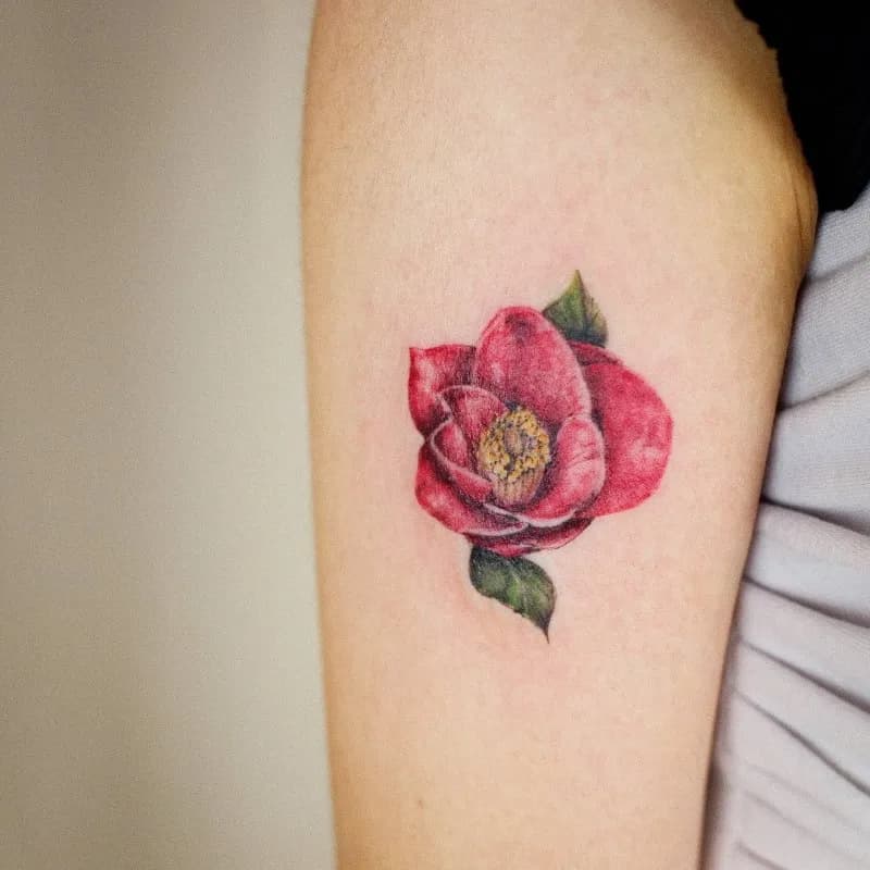 동백꽃 팔타투 tattooist_petal - 1