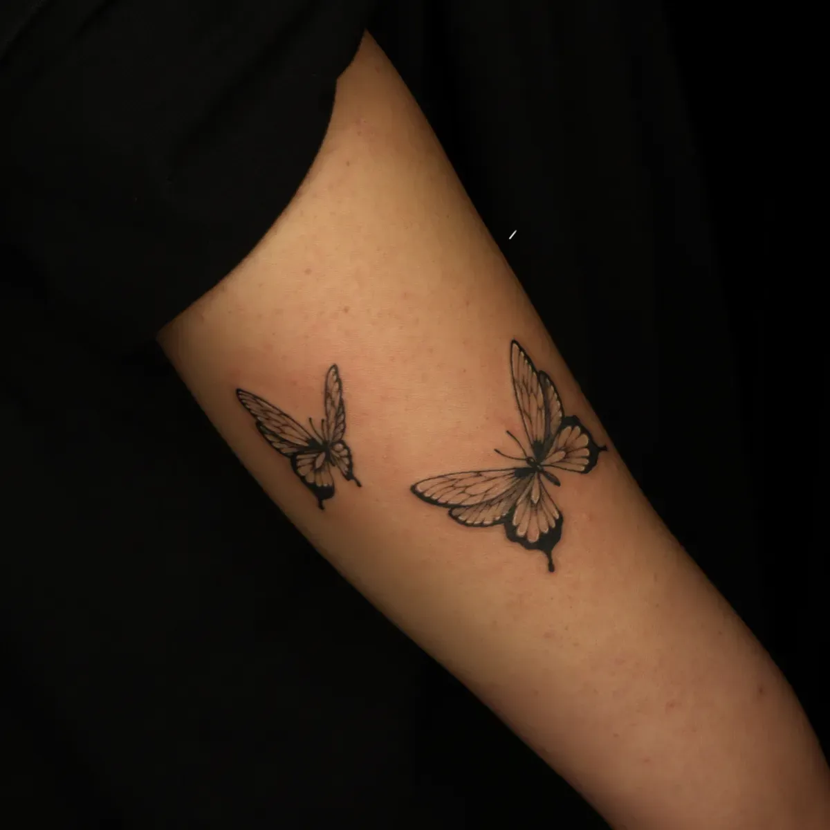 ๋๋น ํํฌ ์๋ฉดํํฌ