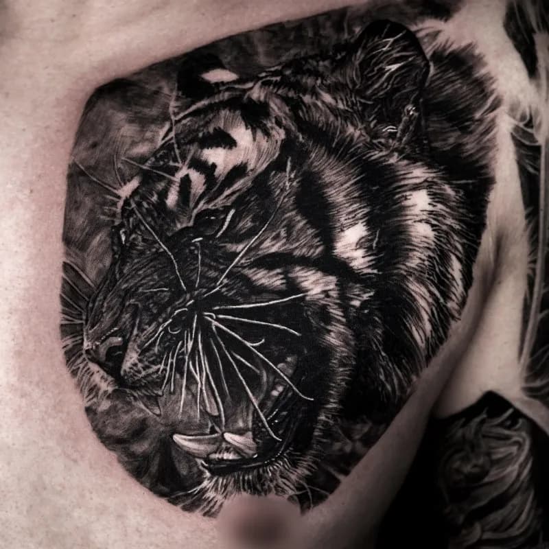 가슴 호랑이 - 1