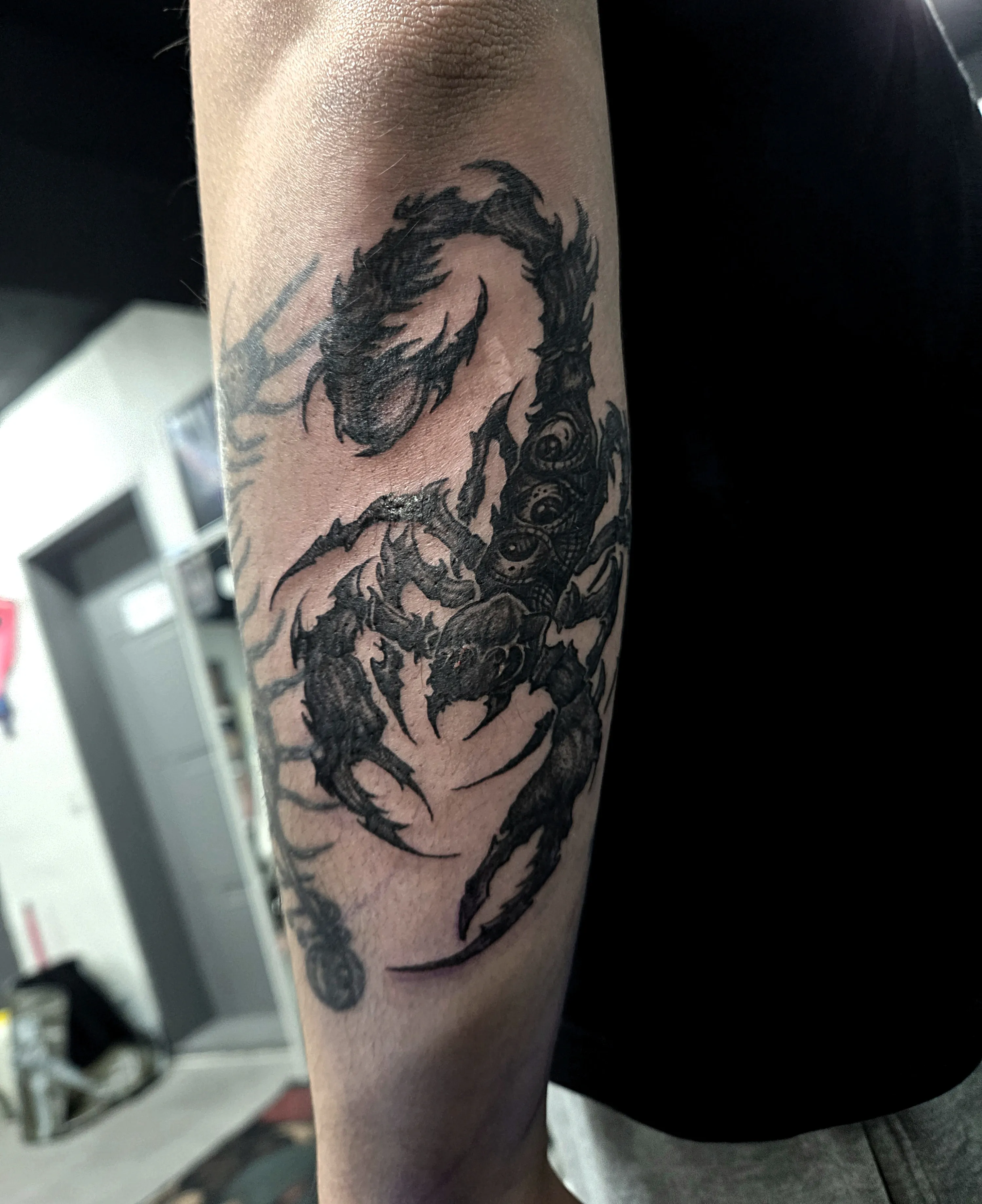 ๋ธ๋์ํฌ ์ ๊ฐ