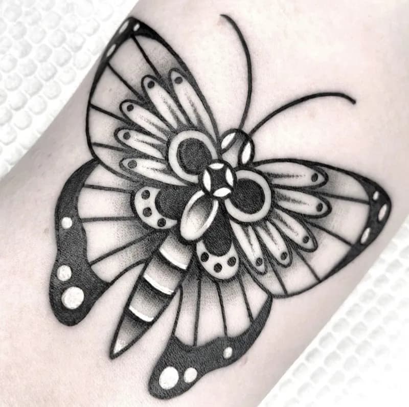 ๋ธ๋์ค์ฟจ ์ฌ๋์ค์ฟจ ๋๋นํํฌ