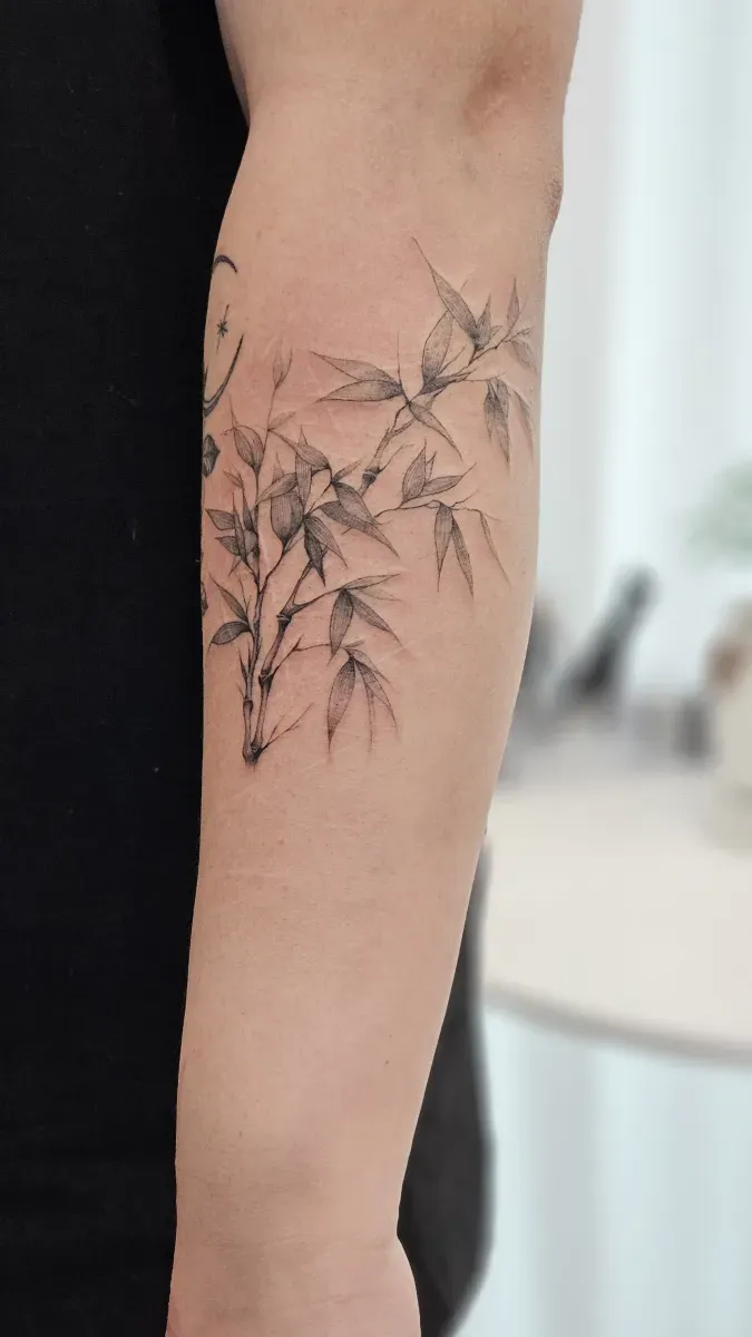 대나무 타투 - 1