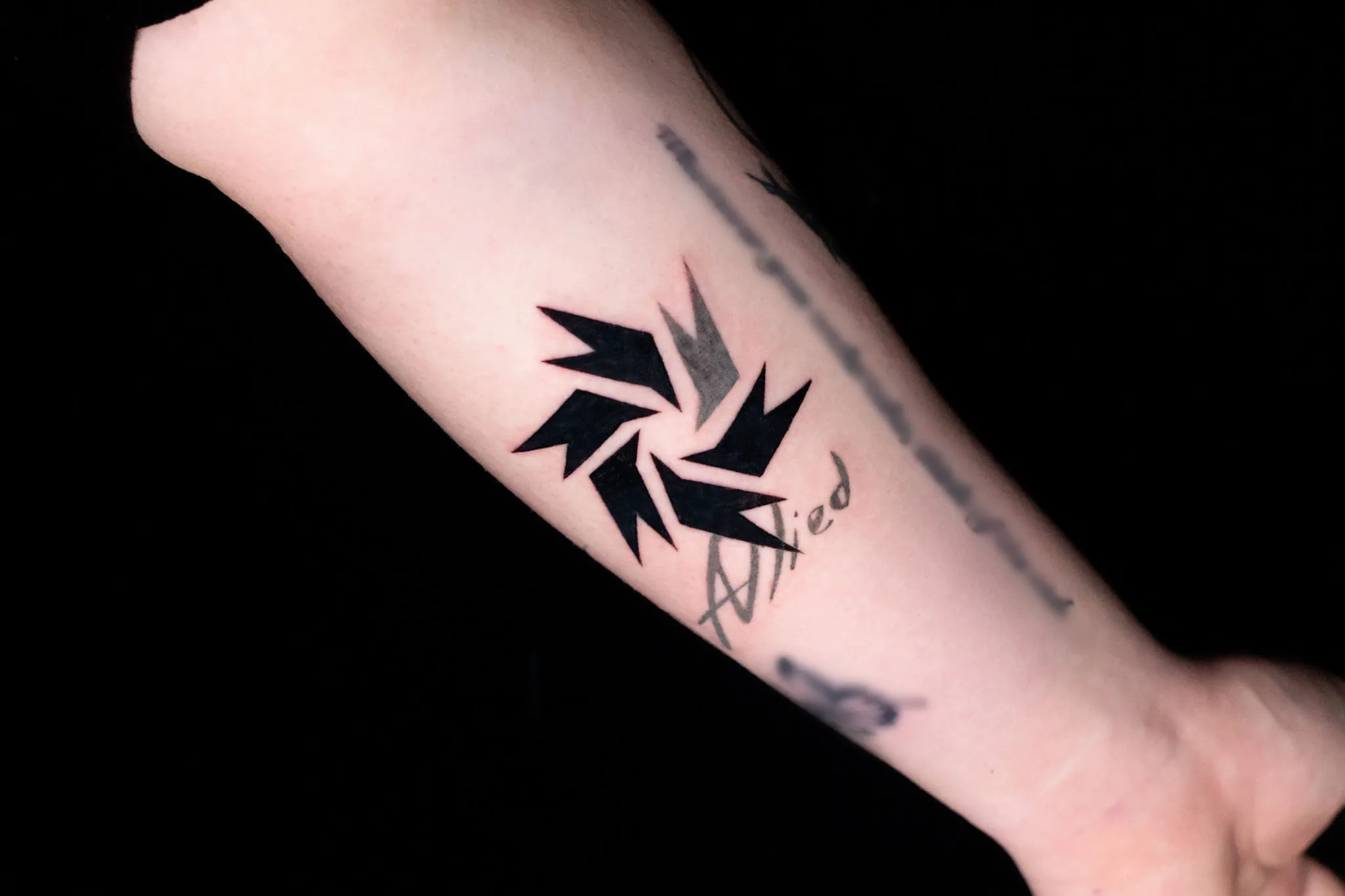 외모지상주의 얼라이드 엠블럼