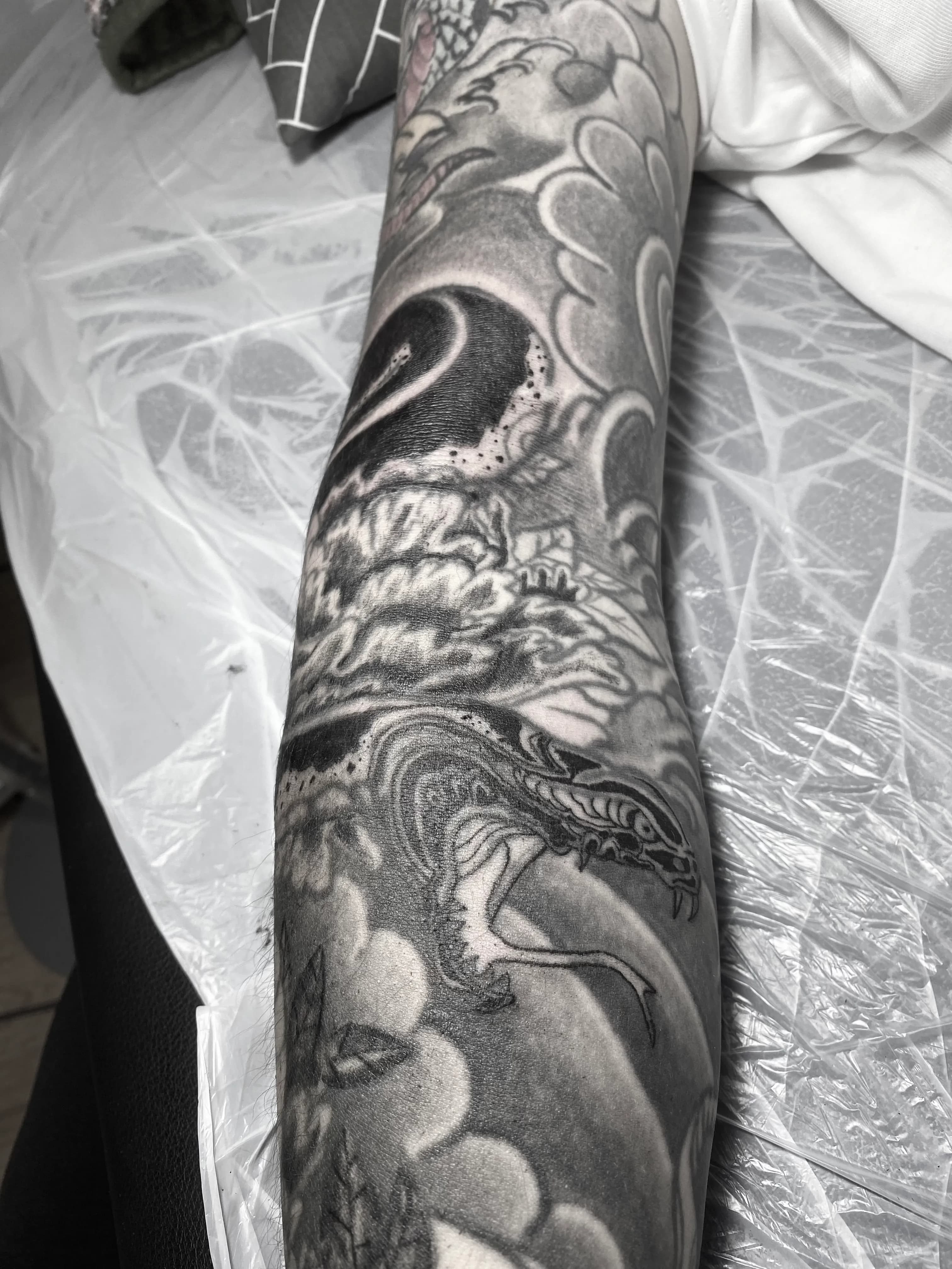 이레즈미 긴팔 뱀