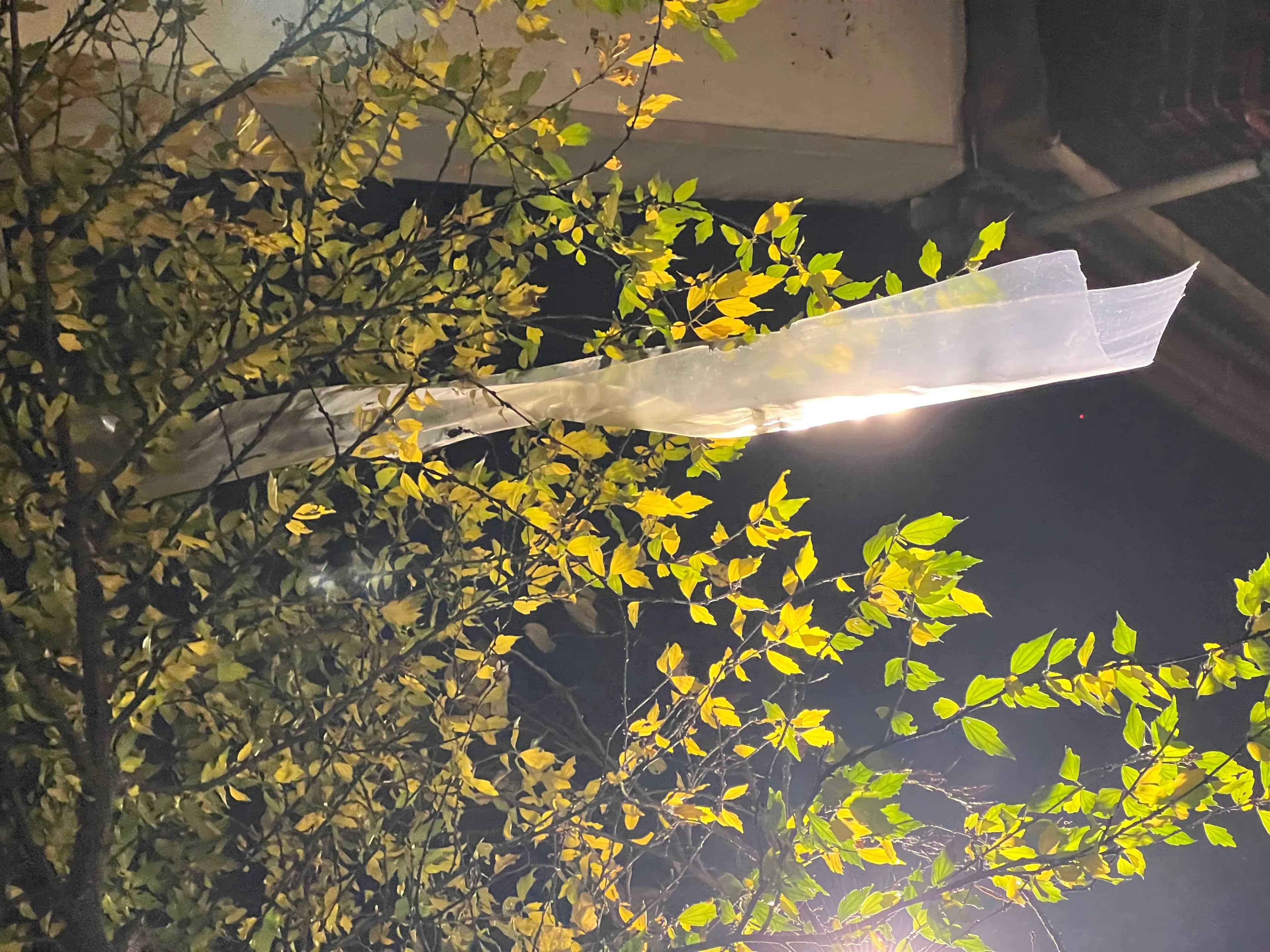 ๋ฌด์ฌ ์ค๋ฆฌ์ํ 1