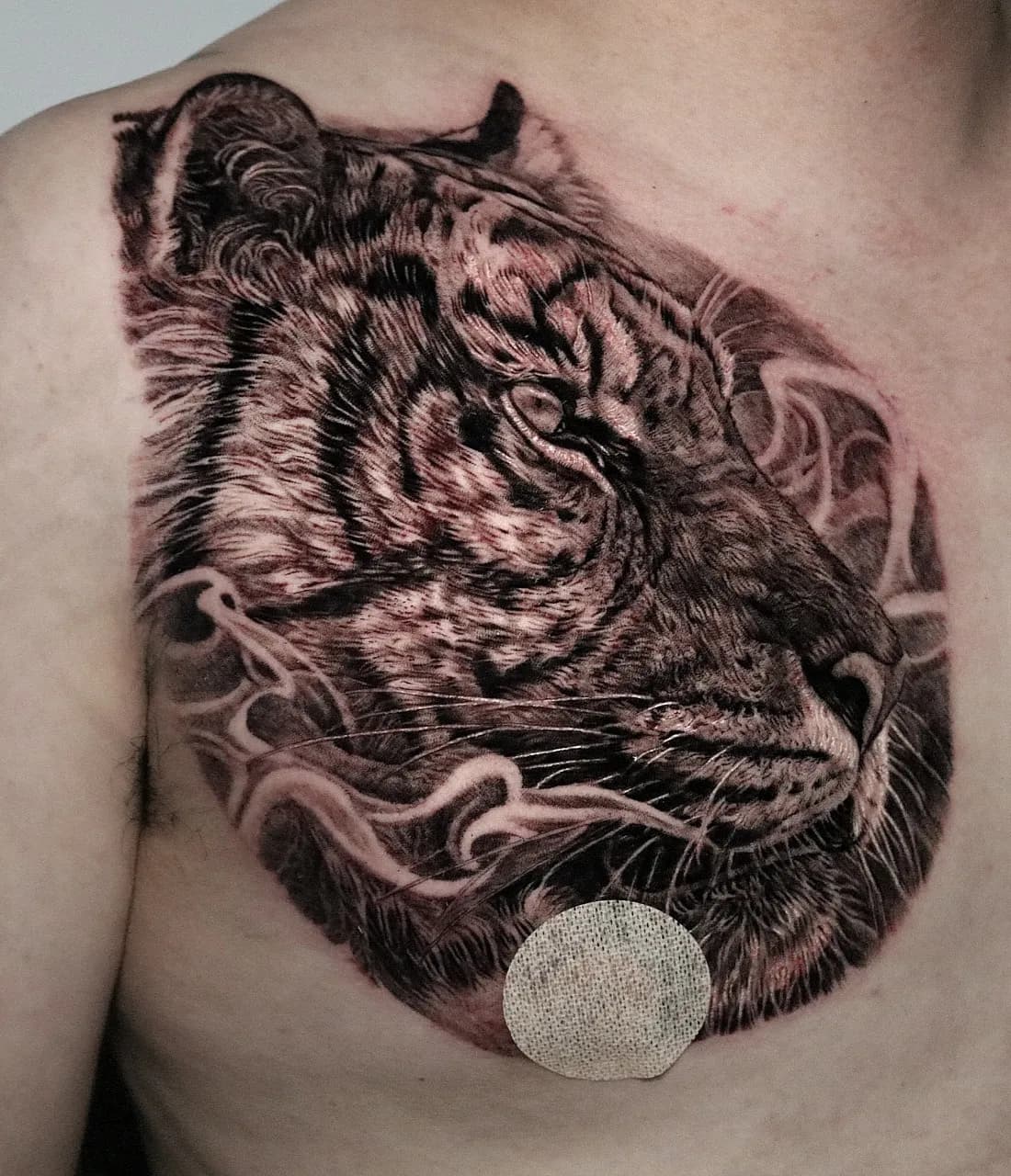 ๋ธ๋์๊ทธ๋ ์ด ํธ๋์ด ๊ฐ์ดํํฌ