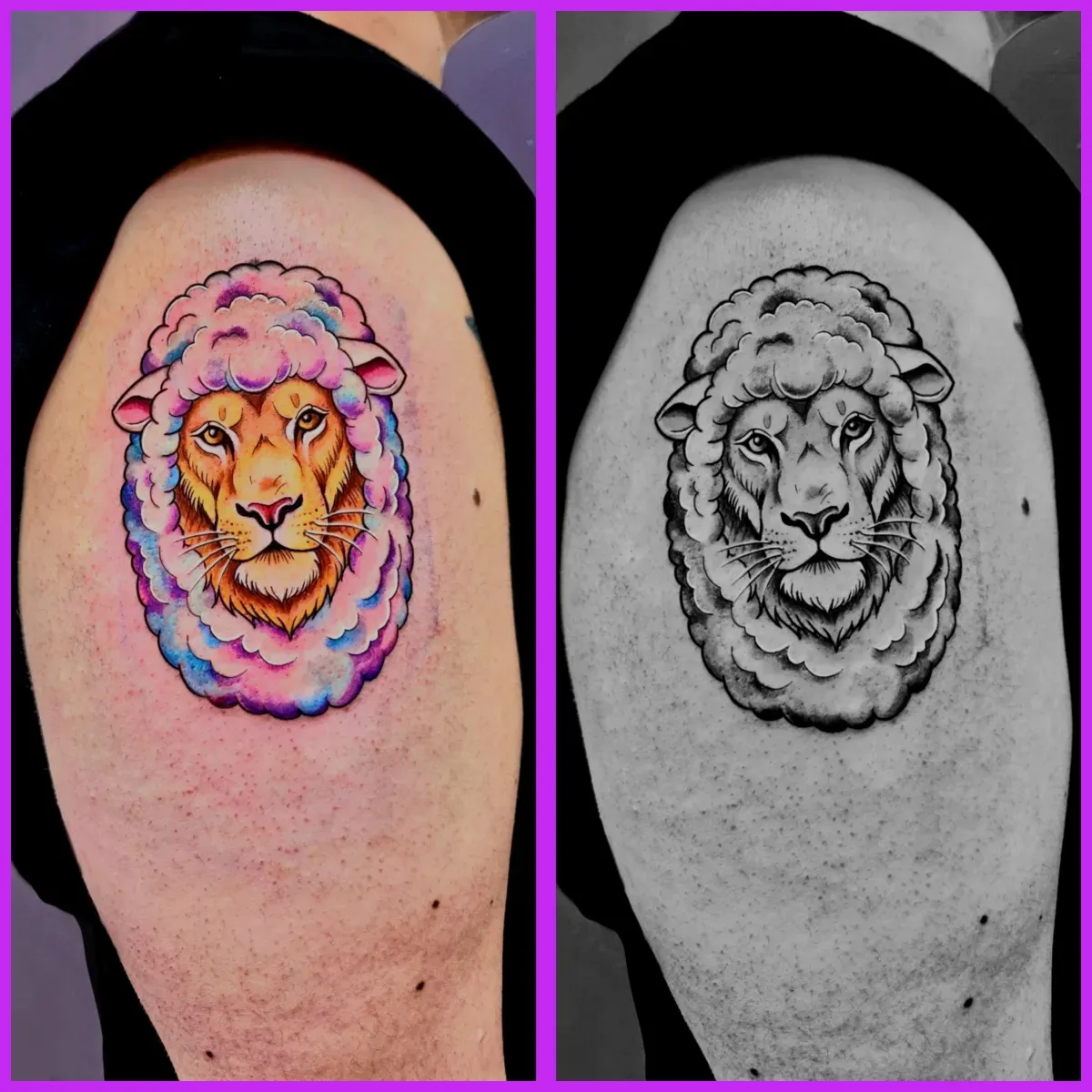 ๋ณ์๋ฆฌํํฌ . ์ฌ์ํํฌ . ์ํํฌ . ๋ด์ค์ฟจ - 1