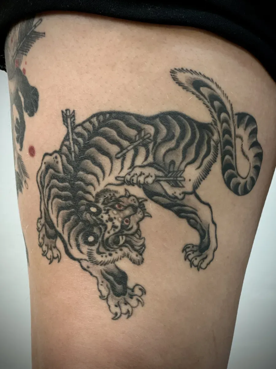 묘당 호랑이 발색 완⚡