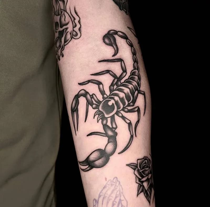 전갈 올드스쿨 - 1