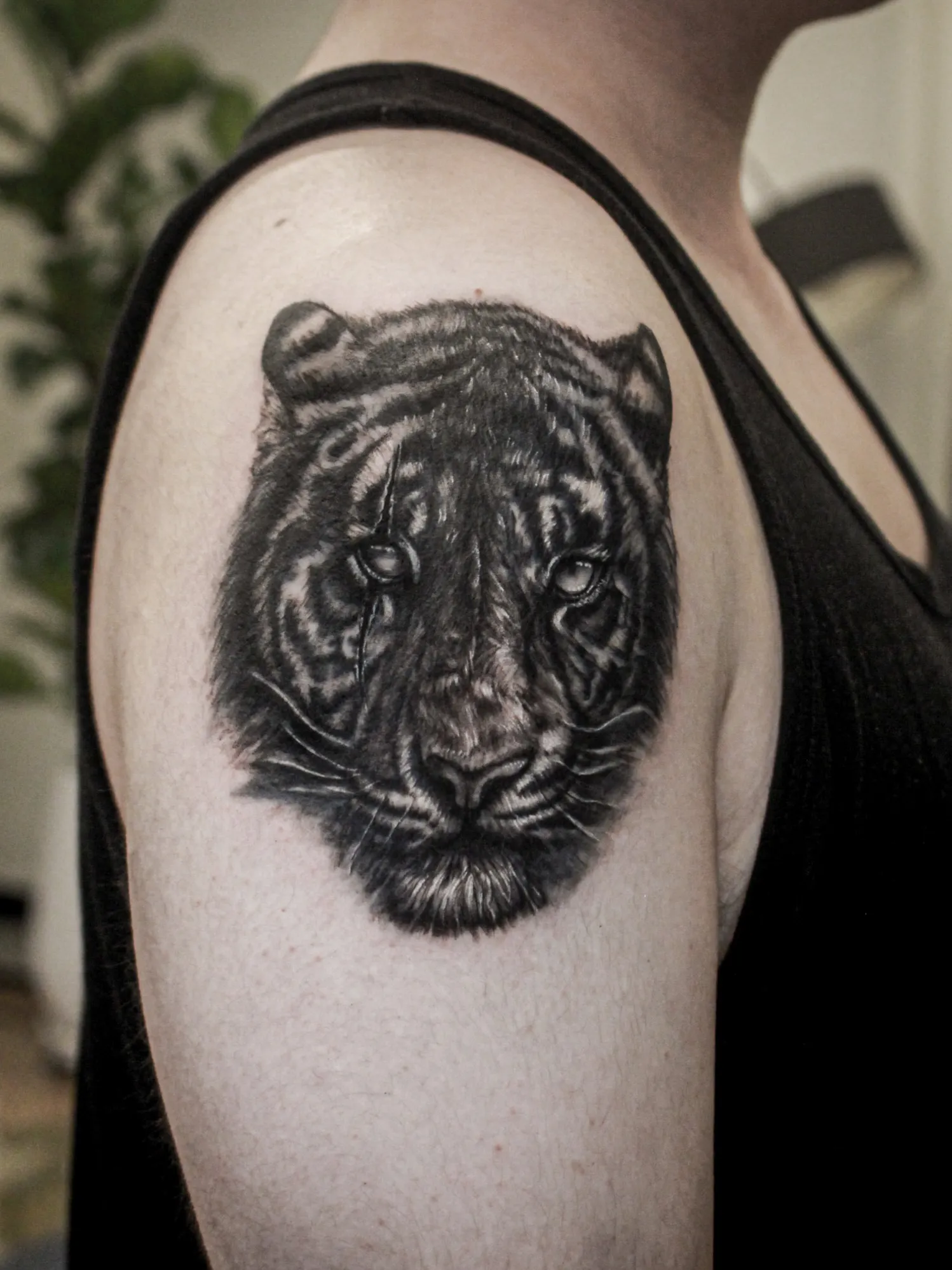 호랑이 터치업 커버업