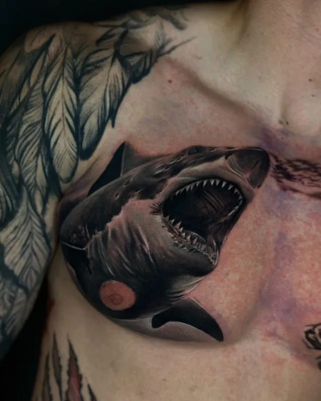 ๋ธ๋์๊ทธ๋ ์ดํํฌ