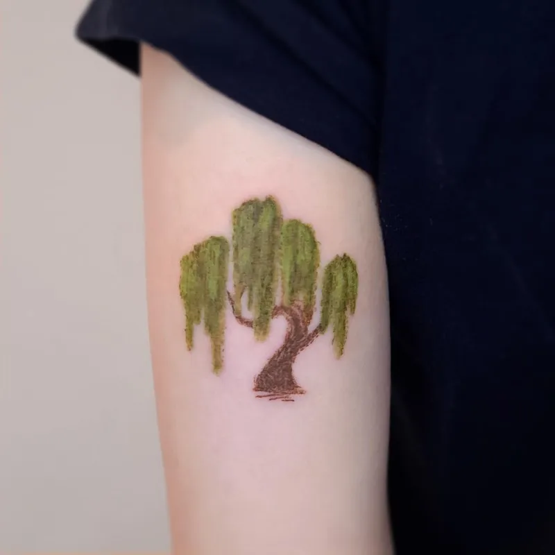 버드나무 크레파스